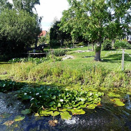 "Balmgarten" Im Naturpark Usedom, Bio Solarhaus Mit Grossem Garten Eksteriør billede