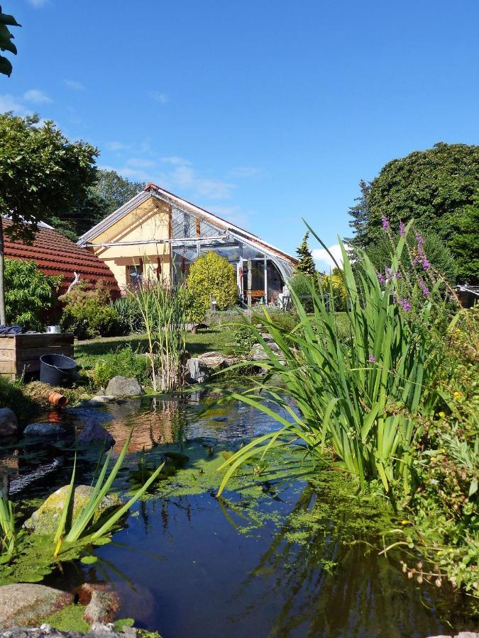 "Balmgarten" Im Naturpark Usedom, Bio Solarhaus Mit Grossem Garten Eksteriør billede