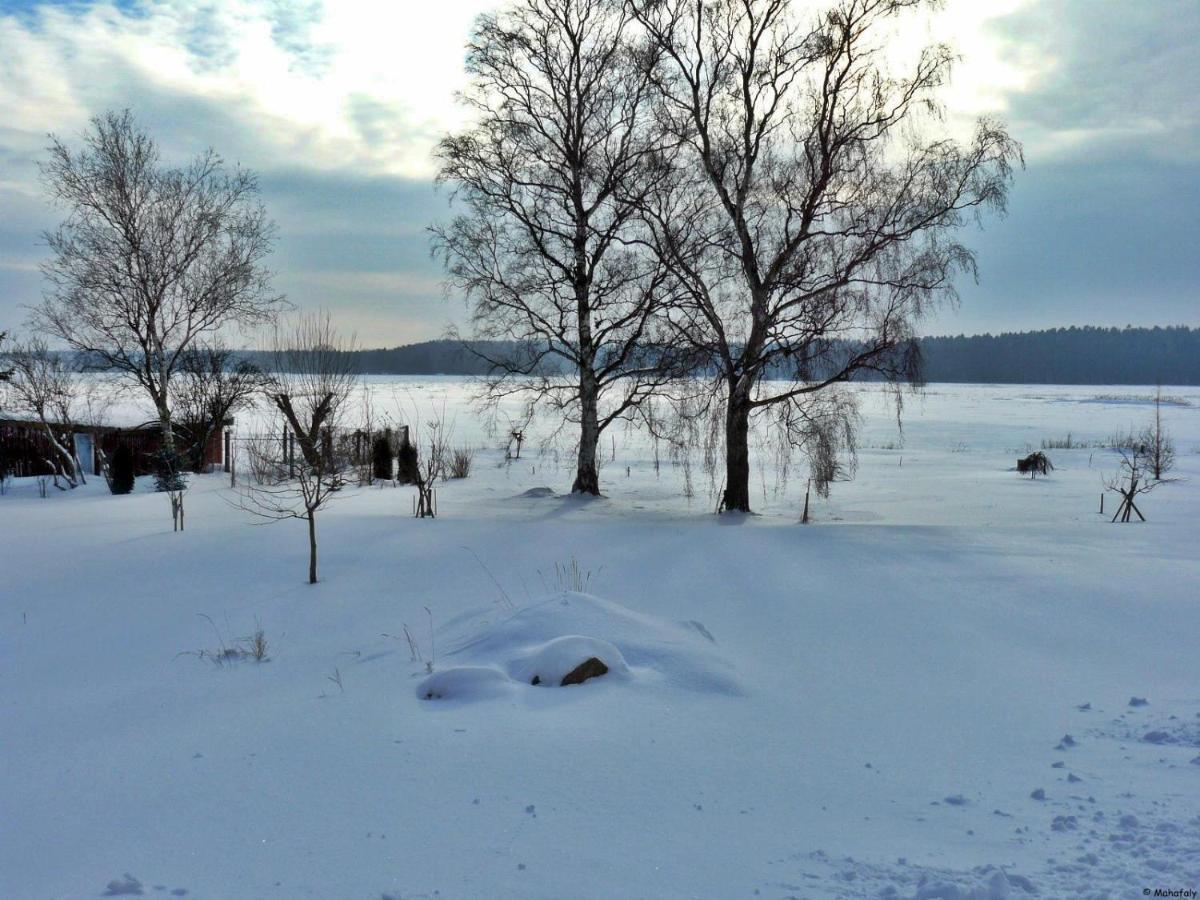 "Balmgarten" Im Naturpark Usedom, Bio Solarhaus Mit Grossem Garten Eksteriør billede