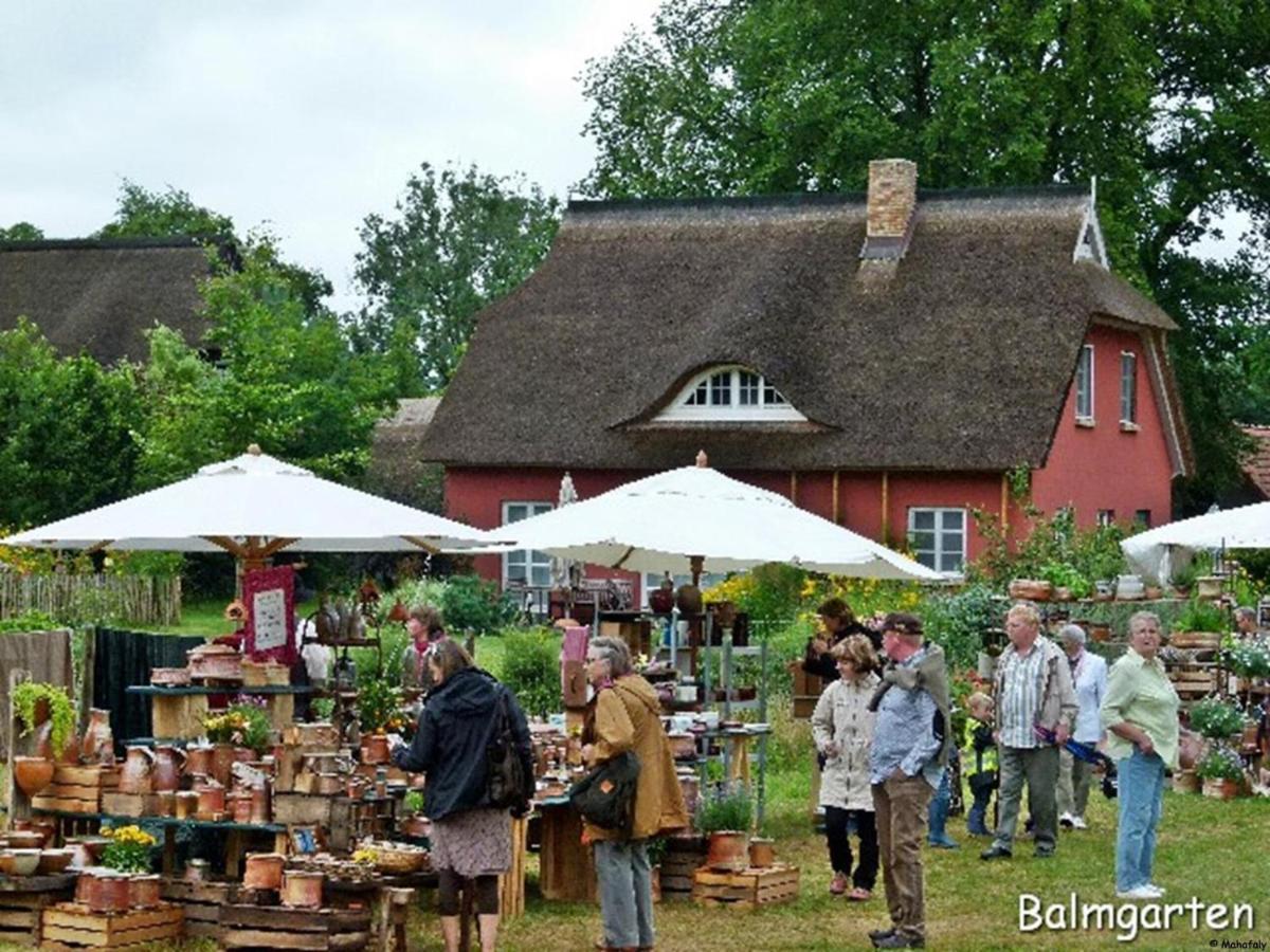 "Balmgarten" Im Naturpark Usedom, Bio Solarhaus Mit Grossem Garten Eksteriør billede