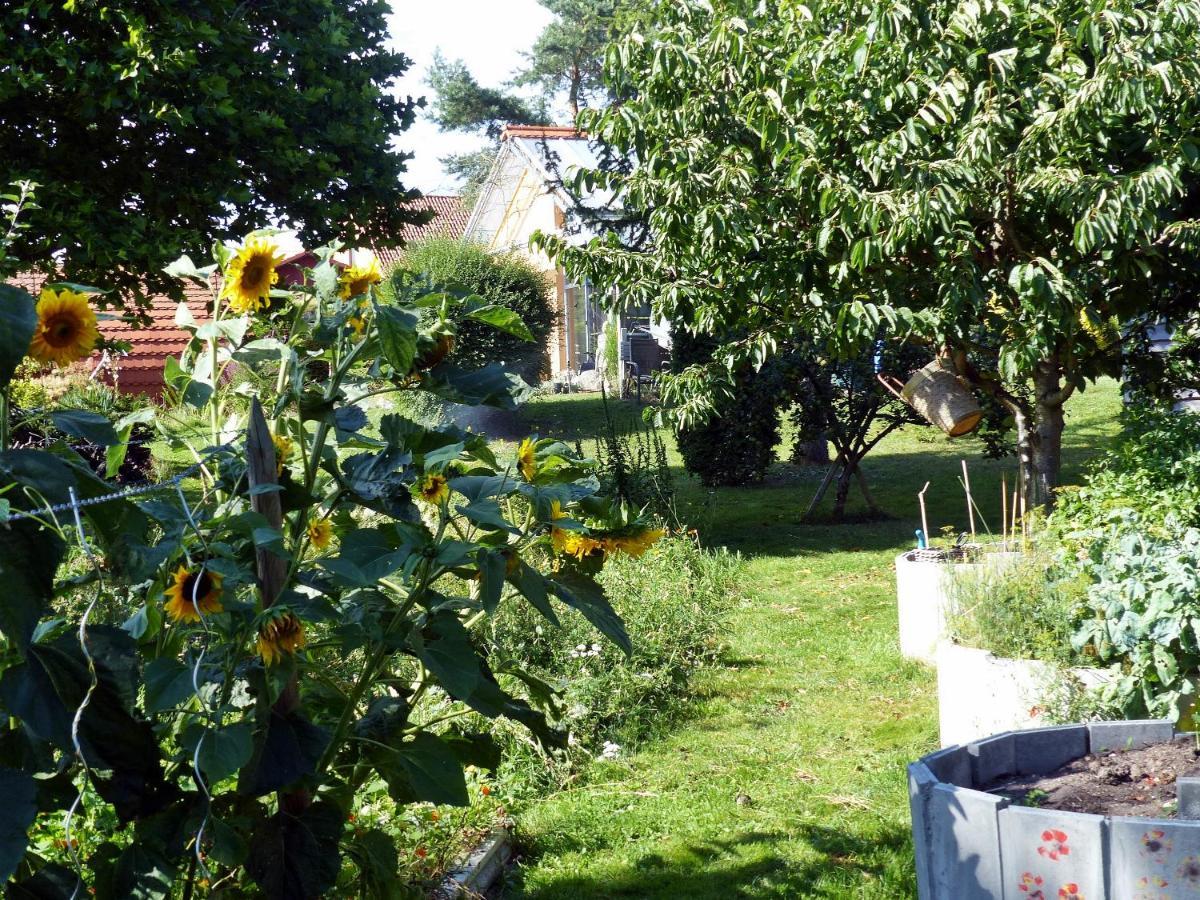 "Balmgarten" Im Naturpark Usedom, Bio Solarhaus Mit Grossem Garten Eksteriør billede