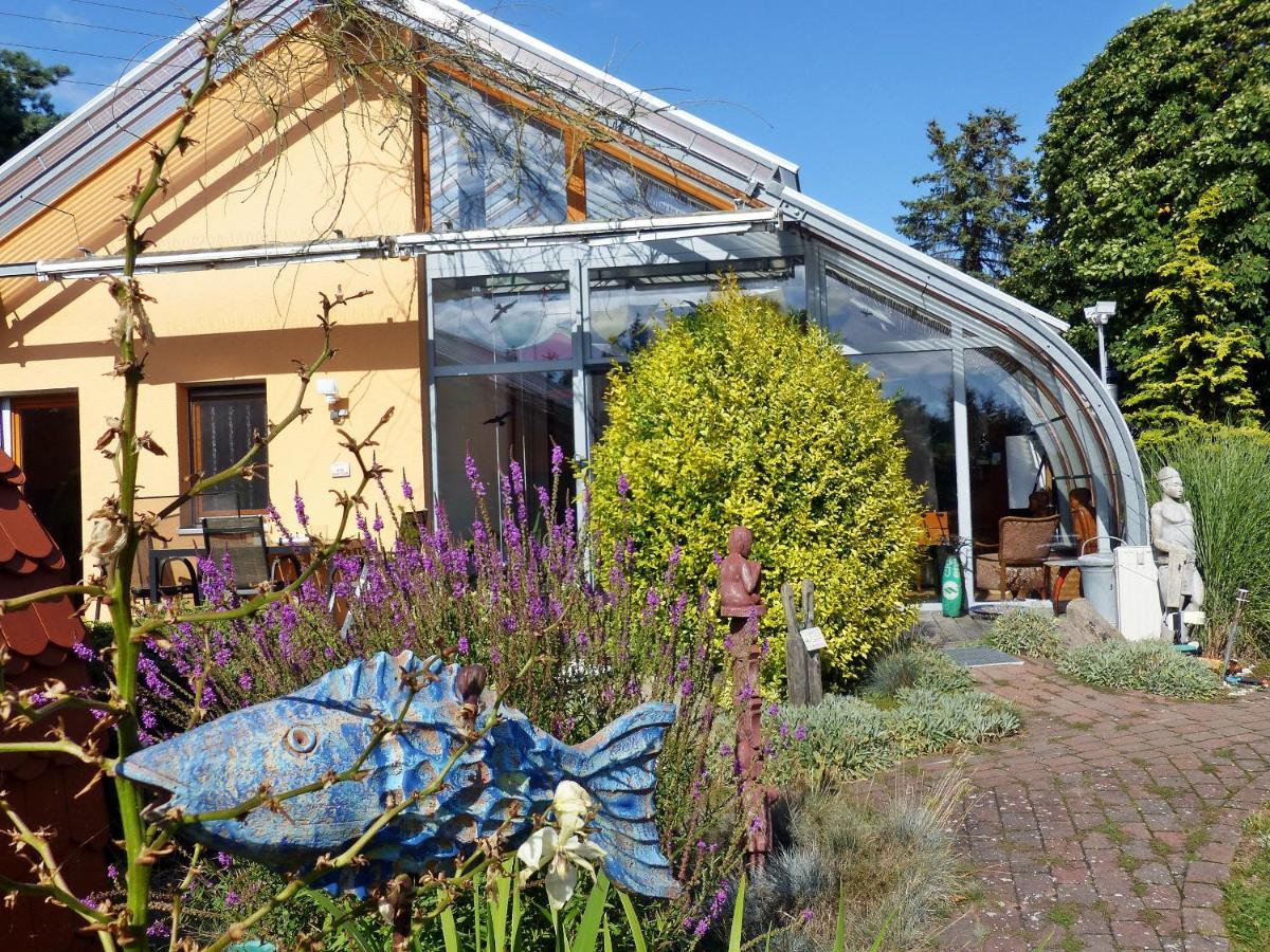 "Balmgarten" Im Naturpark Usedom, Bio Solarhaus Mit Grossem Garten Eksteriør billede