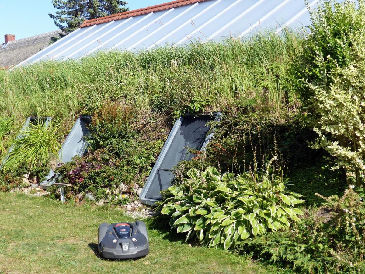 "Balmgarten" Im Naturpark Usedom, Bio Solarhaus Mit Grossem Garten Eksteriør billede