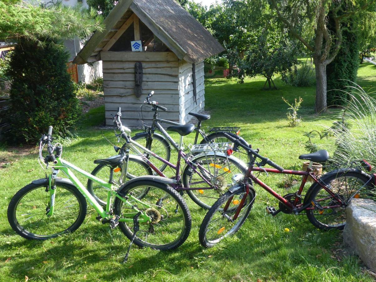 "Balmgarten" Im Naturpark Usedom, Bio Solarhaus Mit Grossem Garten Eksteriør billede