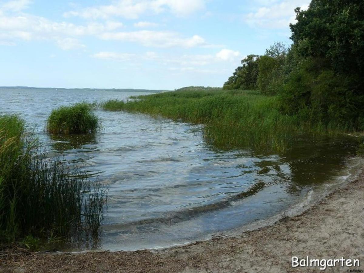 "Balmgarten" Im Naturpark Usedom, Bio Solarhaus Mit Grossem Garten Eksteriør billede