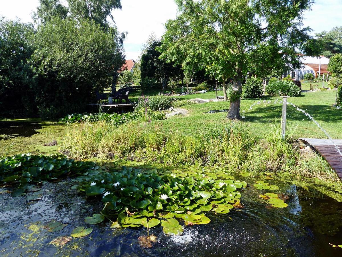 "Balmgarten" Im Naturpark Usedom, Bio Solarhaus Mit Grossem Garten Eksteriør billede